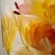 Echioseb™ Botanical Extract