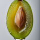 Kakadu Plum Seed Oil
